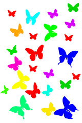 Obraz na płótnie Canvas Flying multicolored butterflies on a white background. Winged insects are drawn.