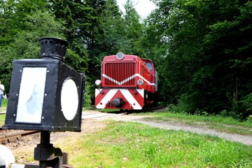 Narrow gauge railway Bieszczady forest track and attractions
