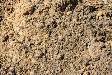 Texture is pit sand. The background of the industrial sand for construction works. Natural material for bricks and concrete products.