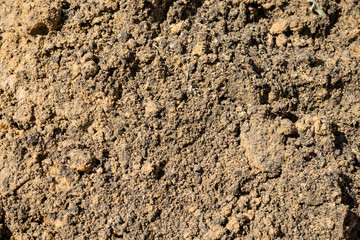 Texture is lumpy pit sand. The background of the industrial sand for construction works. Natural material for bricks and concrete products.