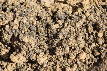 The texture is lumpy wet pit sand . The background of the industrial sand for construction works. Natural material for bricks and concrete products.