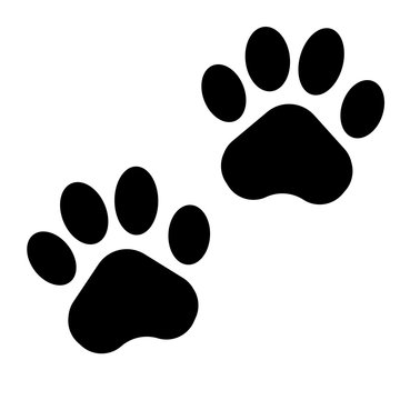 Animals footprints design. Vecto illustration. Flat design.