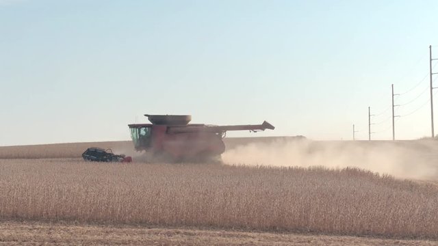 AERIAL CLOSE UP Flying along a combine harvester tractor working on a dusty dry field. Unrecognizable farmer gathering harvest cutting ripe wheat crops using agricultural machinery on sunny autumn day
