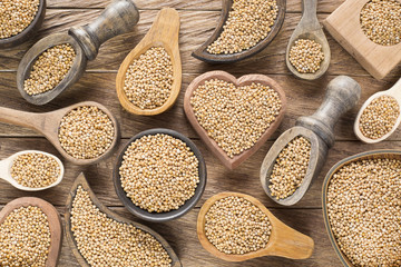 Yellow Mustard Seeds - Sinapis alba