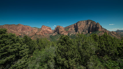 Fototapeta na wymiar Panorama of Kolobs Canyons with Trees in the Foreground in Zion National Park, Utah on a Clear Day