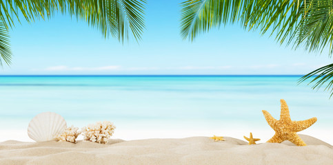 Tropical beach with sea star on sand, summer holiday background.