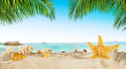 Tropical beach with sea star on sand, summer holiday background.