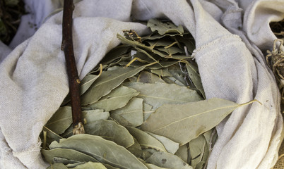 Dried bay leaves