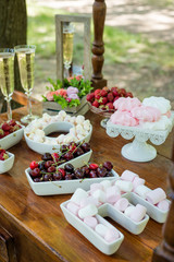 Obraz na płótnie Canvas Festive table setting with fruit and marshmallows. Wedding decor.