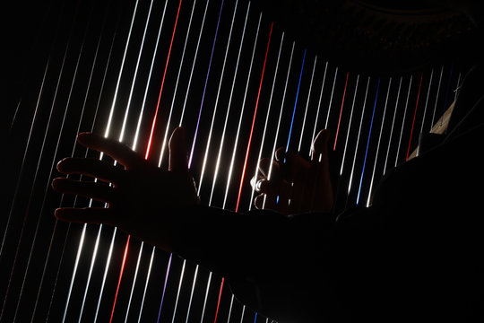 Harp instrument strings closeup