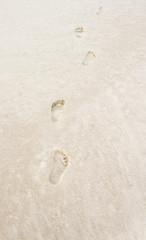 Footprints in the sand.  Tropical white sandy shoreline Gulf Coast beach.  Scenic tourist destination location for relaxation and recreation.