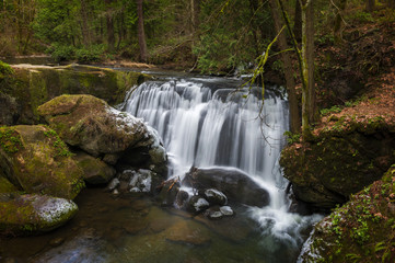 Fototapeta premium Whatcom Falls. Whatcom Falls in Bellingham, Washington, where a cascading waterfall is its centerpiece. The falls in the park are on Whatcom Creek, leading from Lake Whatcom to Bellingham Bay.