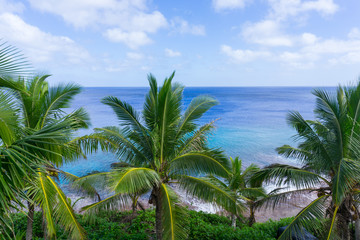 Fototapeta na wymiar Tropical scene palm trees and fronds, ocean and sky.