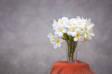 beautiful plumeria flower ,still life