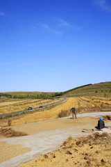 The terraced fields in autumn