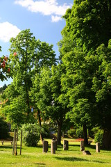 Green Park with trees and grass