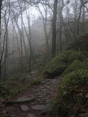 Forêt du Faouet et Chapelle Sainte Barbe (Morbihan) Sainte-Barbe