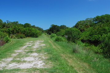 Plakat grassy path