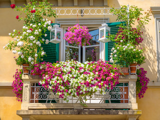 Fototapeta na wymiar Balcony plant and flower pots garden with colored boxes nature Italian trellis