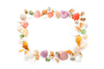 Frame with seashells on white background. Sea flat lay for mock up