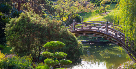 wooden bridge in Japanese garden