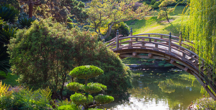 wooden bridge in Japanese garden