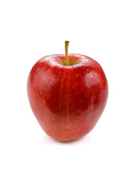 Red apple on white background