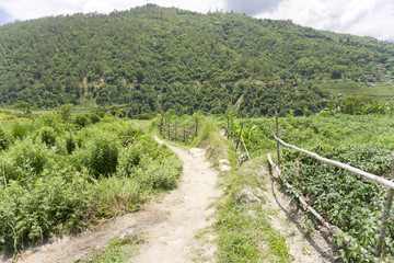 Obraz premium Bhutan