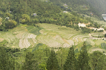 Bhutan