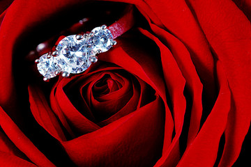 Diamond ring in Red rose