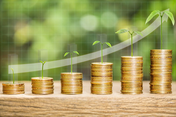 Tree growing on one dollar coins arranged as a graph on wood table with natural bokeh background, concept of finance growth and saving money