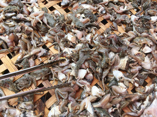 Dead frogs for cooking on bamboo basket