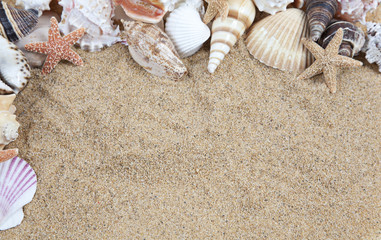 Nice sea shells on the sandy beach taken closeup, Shell border or frame