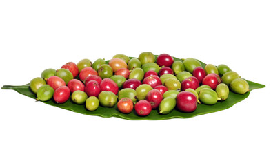 Fresh coffee beans