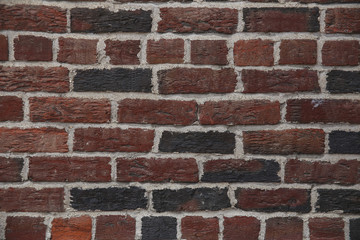 Fototapeta premium wall