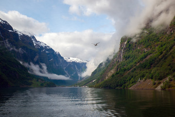 Fototapeta premium Navigating Sognefjord
