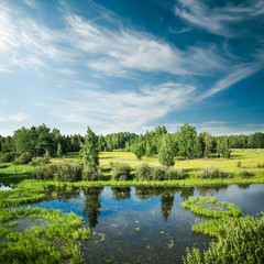 Fototapeta na wymiar Forest and field panorama