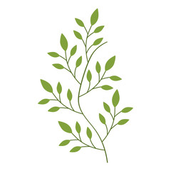 stem with leaves icon