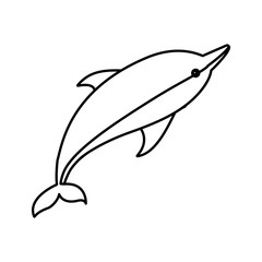 dolphin icon image