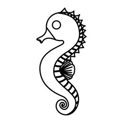 seahorse icon image