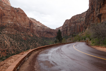 Zion Noational Park Road