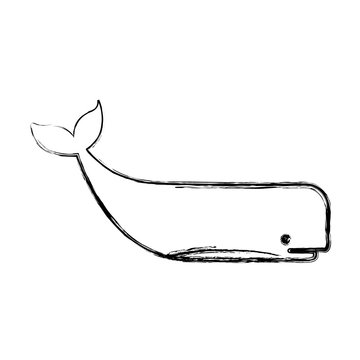 whale icon image