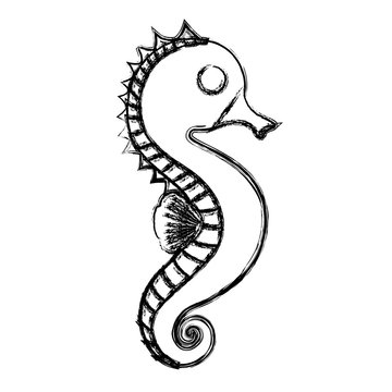 seahorse icon image