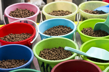 Fish food ,tank,Scoop out ,food,Feed the fish