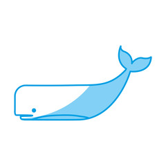 whale icon over white background vector illustration
