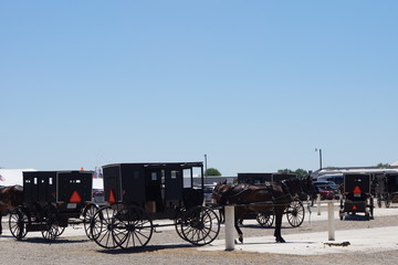 Fototapeta premium An Omish gathering