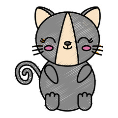 kawaii cat animal icon over white background vector illustration