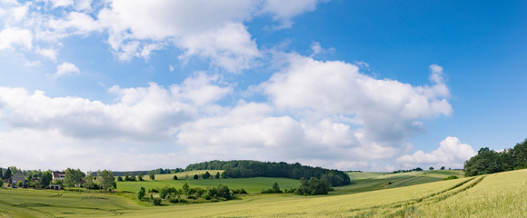 Green field and clear cloudy sky  panorama