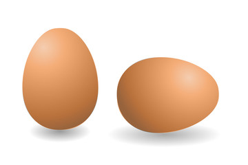 Two vector brown eggs. Isolated eggs on white background.