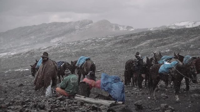 Peruvian muleteer on basecamp with his horse during a snowfall near the Nevado Pastoruri. Slow motion